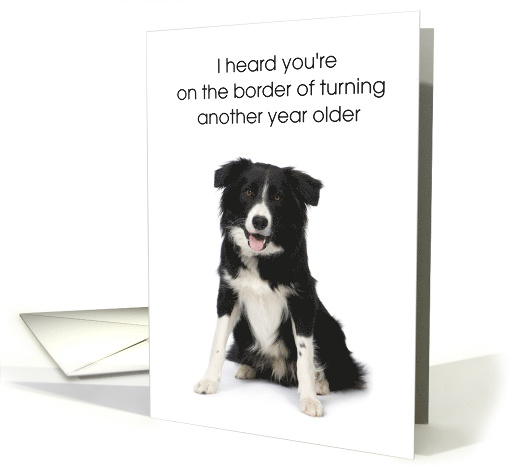 Half Birthday Border Collie Chase You Down Six Months card (1631394)