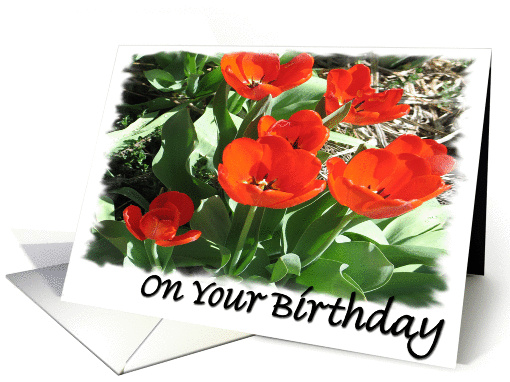 A Birthday Wish card (208802)