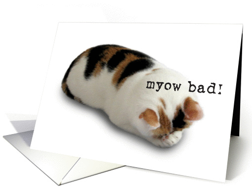 Myow Bad card (50299)