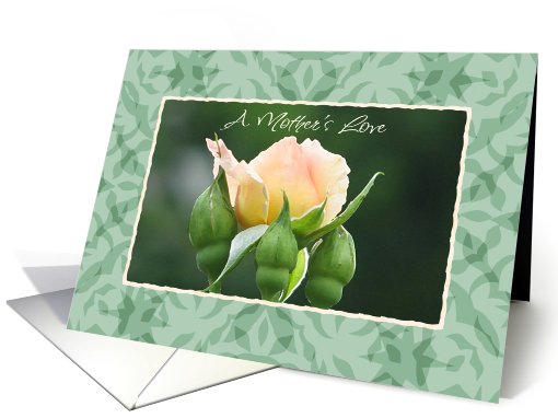 Mothers Love card (553828)