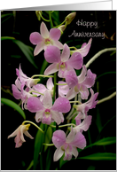 Happy Anniversary Card Pink Orchids With Waterdrops Card 529851