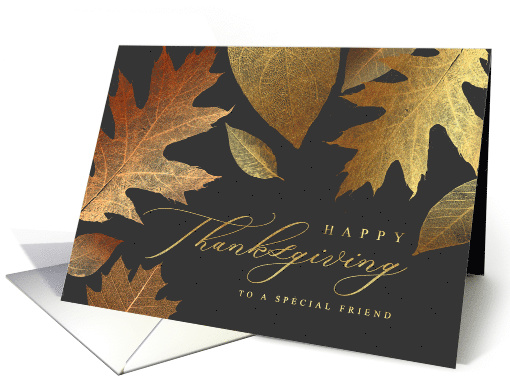 Happy Thanksgiving to a Special Friend Holiday Greeting card (1580268)