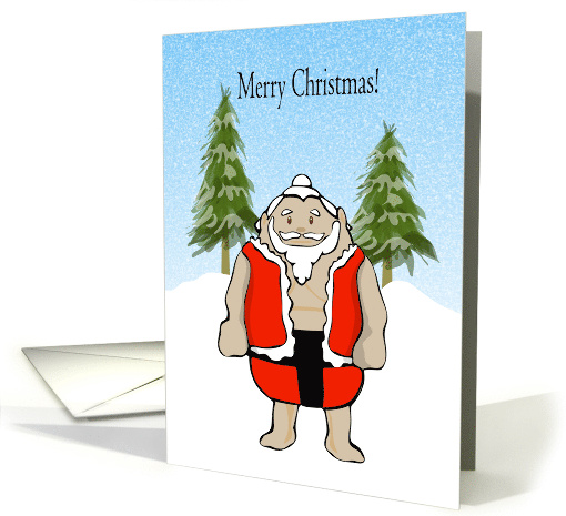 Sumo Santa Christmas (1738236)