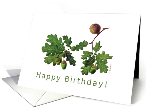Happy birthday English Oak delicate accurate illustration card
