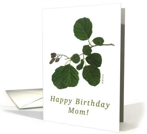 Happy Birthday Mom Alder card (1086622)