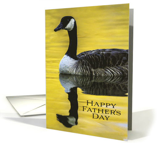 Father's Day Canada Goose Swims at Dawn with Perfect Reflection card