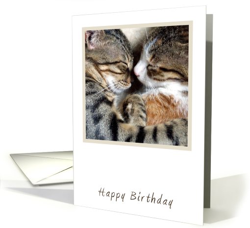 Cat Love Birthday card (789669)