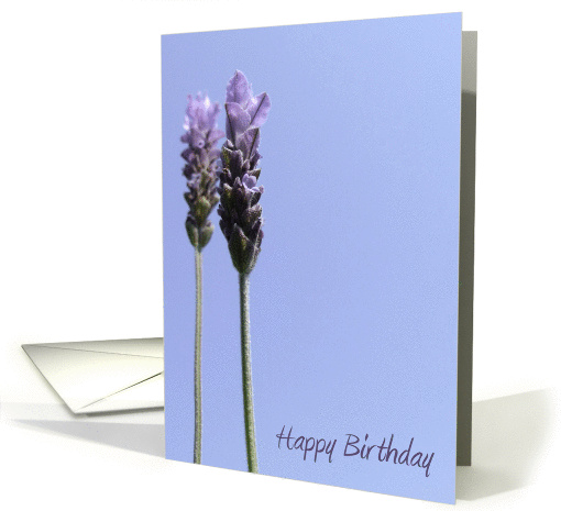 Lavendar Birthday card (837099)