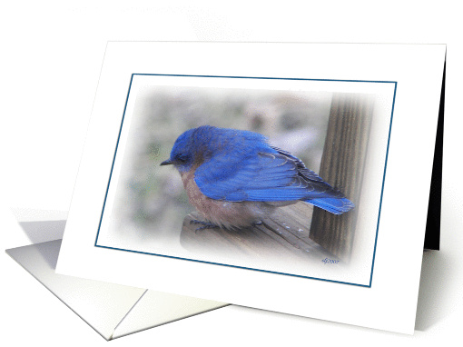 Happiness bluebird card (100654)