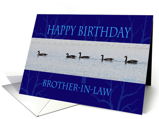 Happy Birthday brother-In-law flock card (864254)