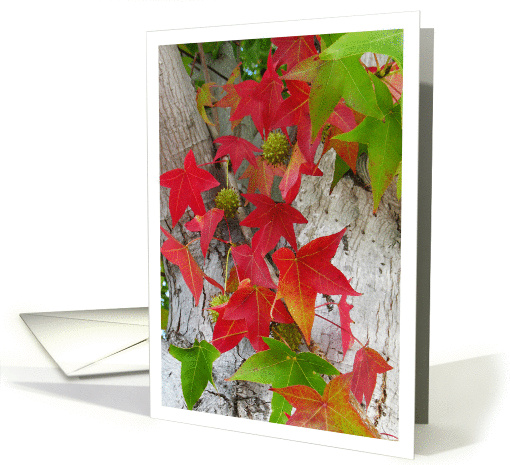 Autumn Greetings / Birthday / Thinking of you / Any Occasion card