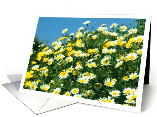 Flower Card For Any Occasion card (807802)