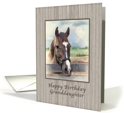 Birthday, Granddaughter, Brown Horse with Bridle card (1025041)