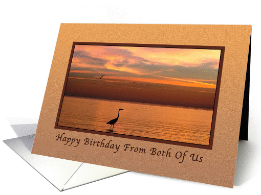 Birthday, From Both of Us, Ocean Sunset with Birds card (1177464)