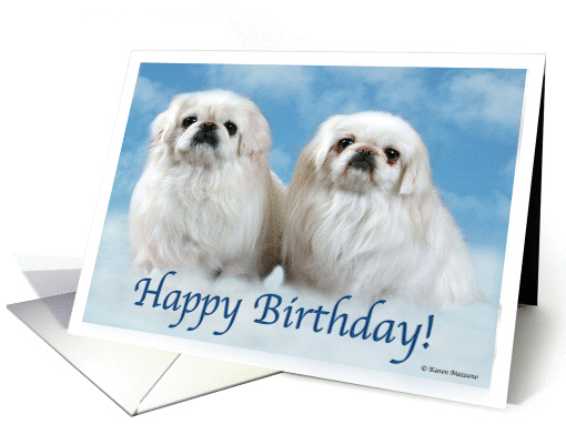 Happy Birthday Pekingese card (886257)