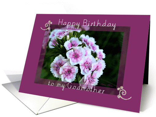 Happy Birthday to my Godmother card (209882)