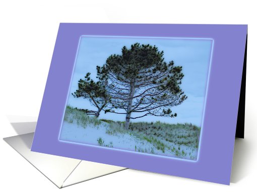 Get Well for Cancer Patient, Beach Tree card (662833)