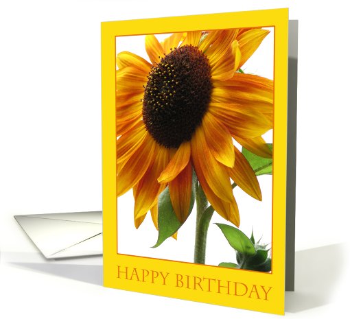 Happy Birthday - sunflower card (130091)