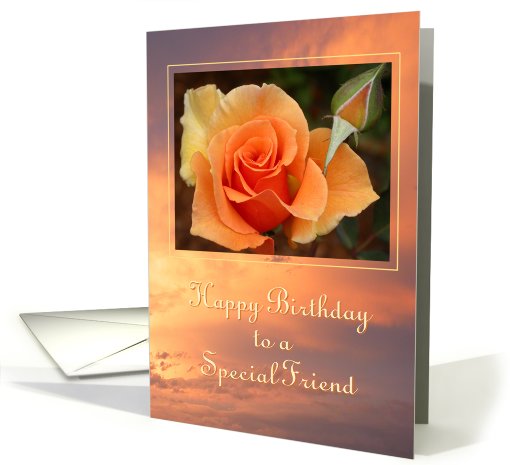 Happy Birthday Special Friend card (157235)