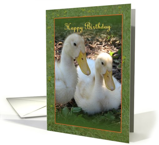 Happy Birthday - ducklings card (216439)