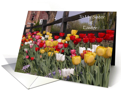Happy Easter to Sister - Colorful Tulip Garden card (147489)