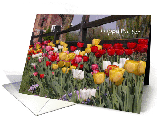 Happy Easter - Verse - Tulip Garden card (147547)