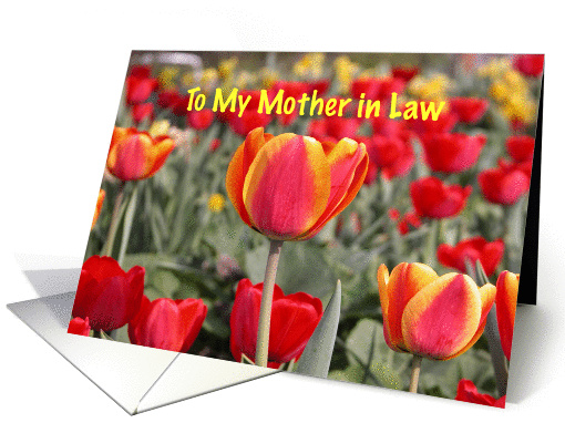 Happy Easter To My Mother in Law - Red and Yellow Tulip Garden card