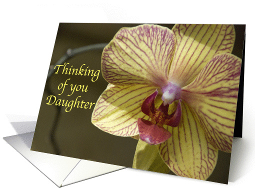 Thinking of You Daughter - Yellow Orchid Flower card (172754)