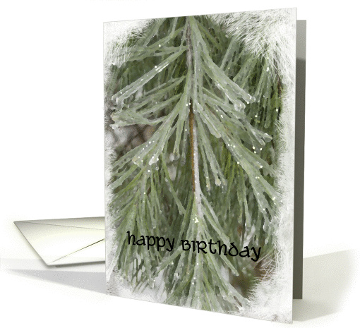 Happy Birthday - Icy Pine Needles card (242544)