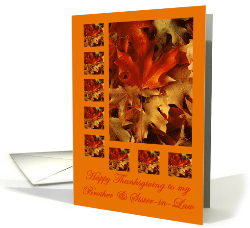 Thanksgiving Brother and Sister-in-Law Autumn Leaves card (289182)