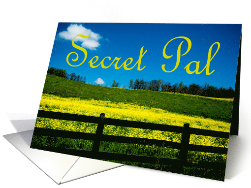 Secret Pal Summer Landscape Field of Yellow Flowers card (417323)