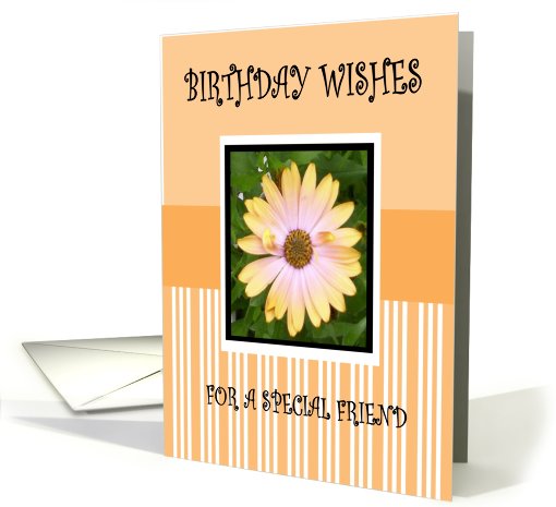 BIRTHDAY WISHES card (457642)