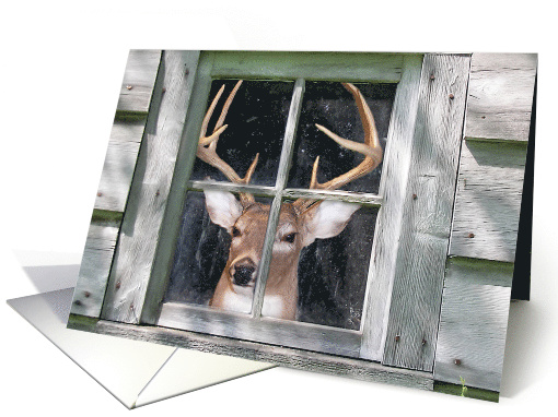 Big Buck in Cabin Window Man's Birthday card (167993)