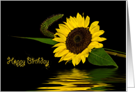 Birthday sunflower with water reflection on black card