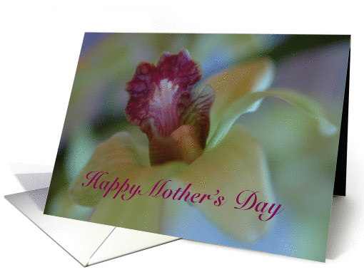 Mother's Day card (171333)