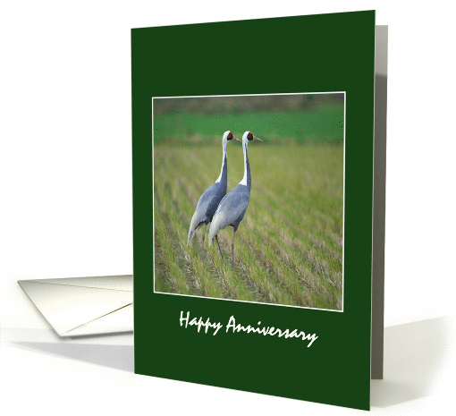 Happy Anniversary - Two Birds card (331932)