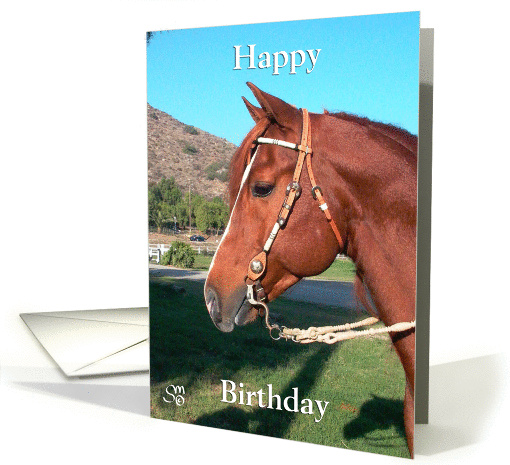 horse head western bridle card (202154)