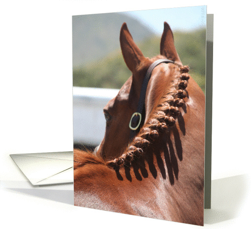 horse head with braided mane card (202156)