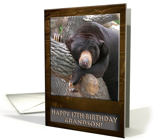 Happy 17th Birthday Grandson, Black Bear card (492229)
