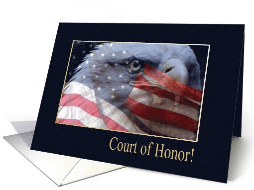 Court of Honor, Eagle Close up with American Flag, Eagle... (915708)