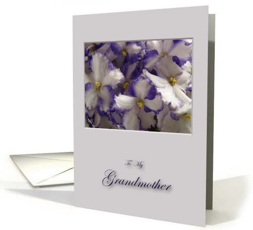 To My Grandmother card (228861)