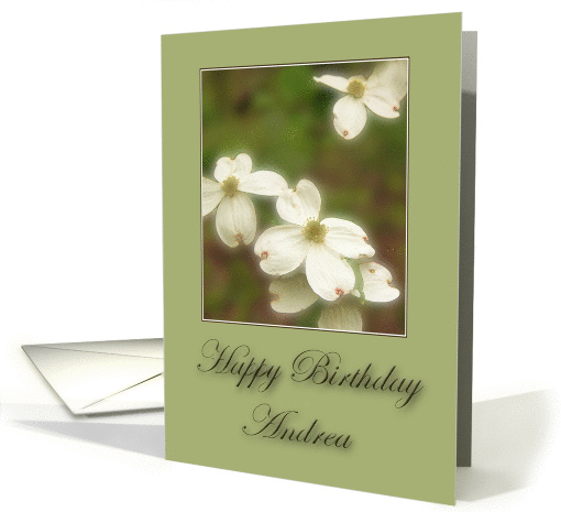 Happy Birthday Andrea card (230597)