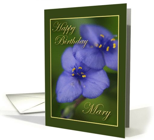 Happy Birthday Mary card (247471)