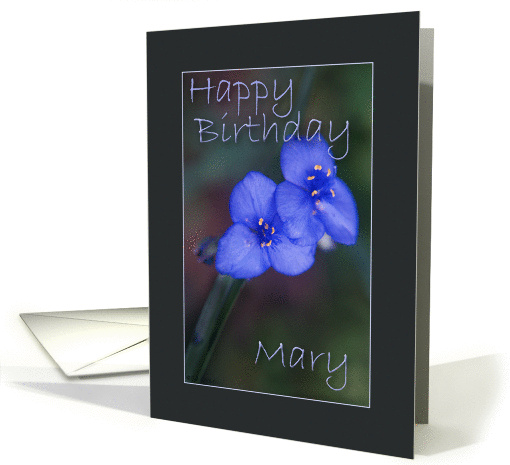 Happy Birthday Mary card (248699)