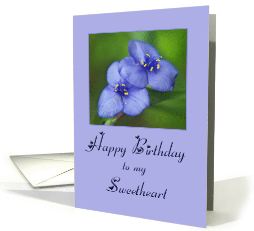 Happy Birthday Sweetheart card (252834)