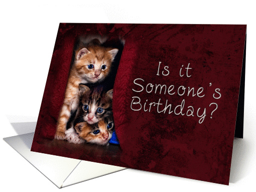 Is it Someone's Birthday? Kittens card (614925)