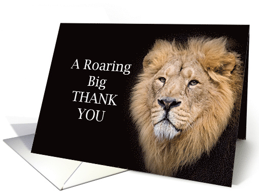 Unique Thank You Greeting Card: Gratitude Is Wonder - Shaboo Prints -  PinkLion