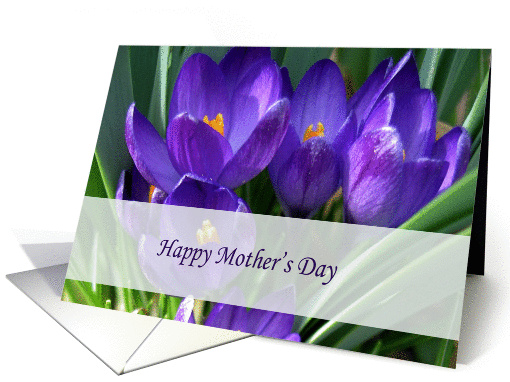Happy Mother's Day card (418878)