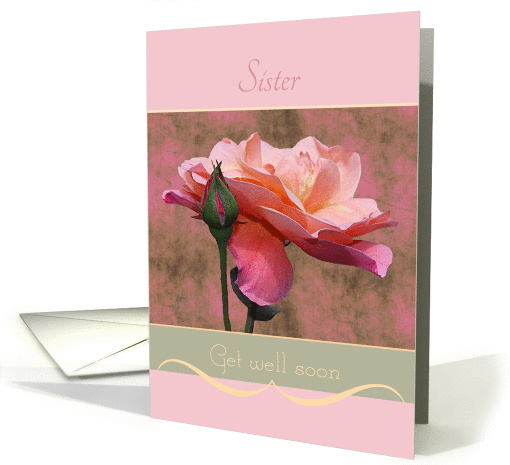 Sister Get well soon Roses card (1060299)