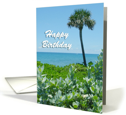 Oceanview birthday card (286841)